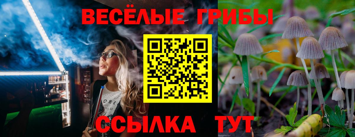 Галлюциногенные грибы MAGIC MUSHROOMS  Вход с VPN  Полевской 